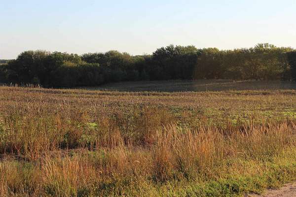 156 Acres of Land for Sale in Aurora, Kansas