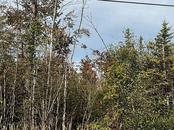 0.42 Acres of Land for Sale in Alpena, Michigan