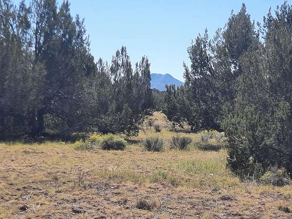 36.6 Acres of Land for Sale in Seligman, Arizona
