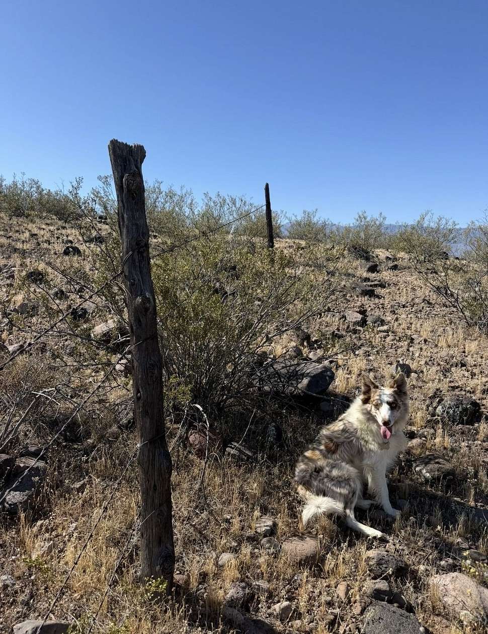 20 Acres of Recreational & Residential Land for Sale in Eden, Arizona