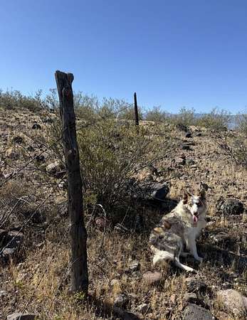 20 Acres of Recreational & Residential Land for Sale in Eden, Arizona
