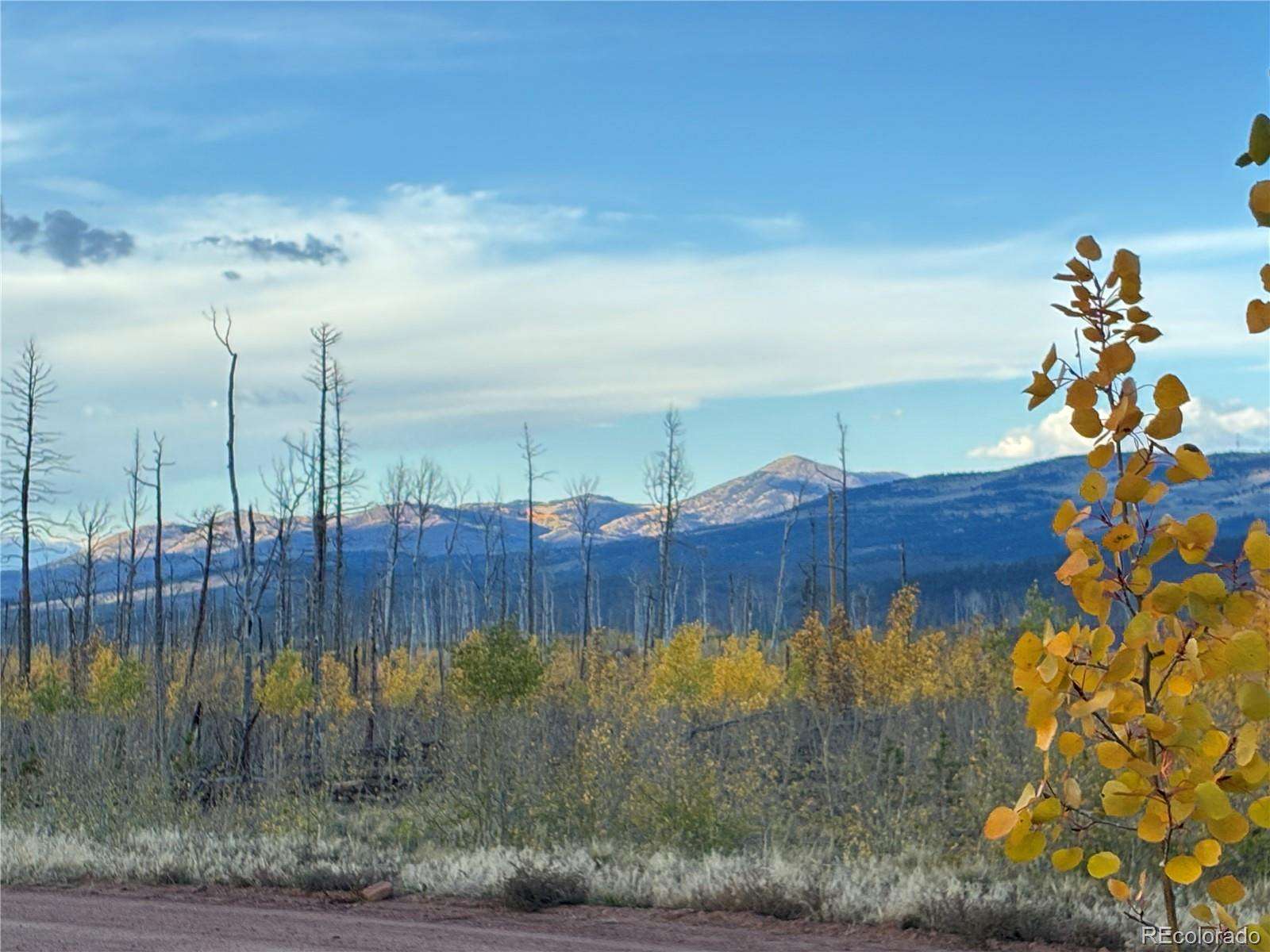 1.73 Acres of Land for Sale in Fort Garland, Colorado