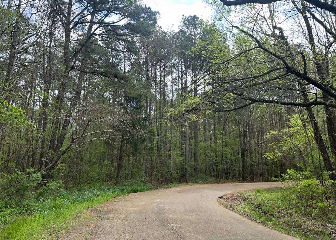 29 Acres of Land for Sale in Canton, Mississippi
