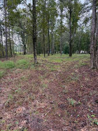 2.29 Acres of Residential Land for Sale in Ridgeland, South Carolina