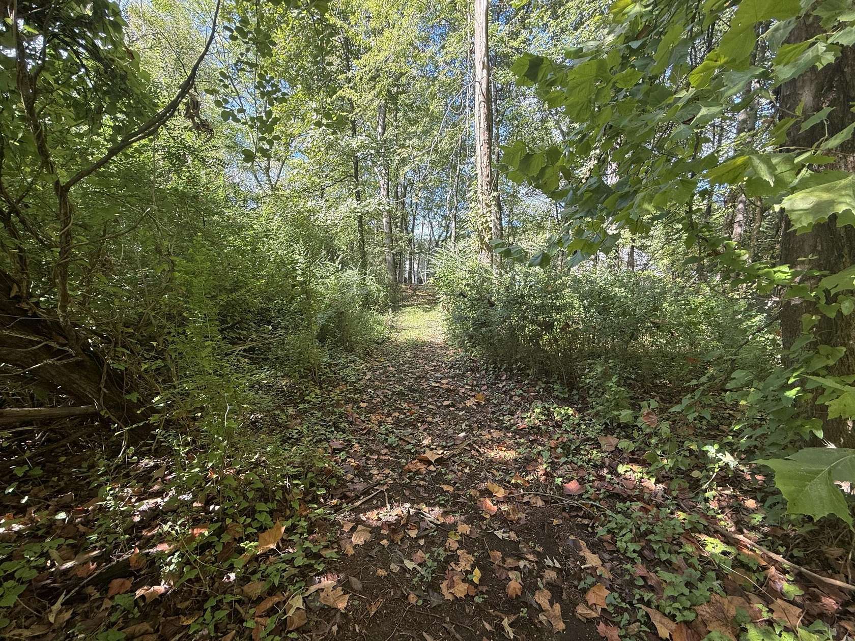 1 Acre of Residential Land for Sale in Ooltewah, Tennessee