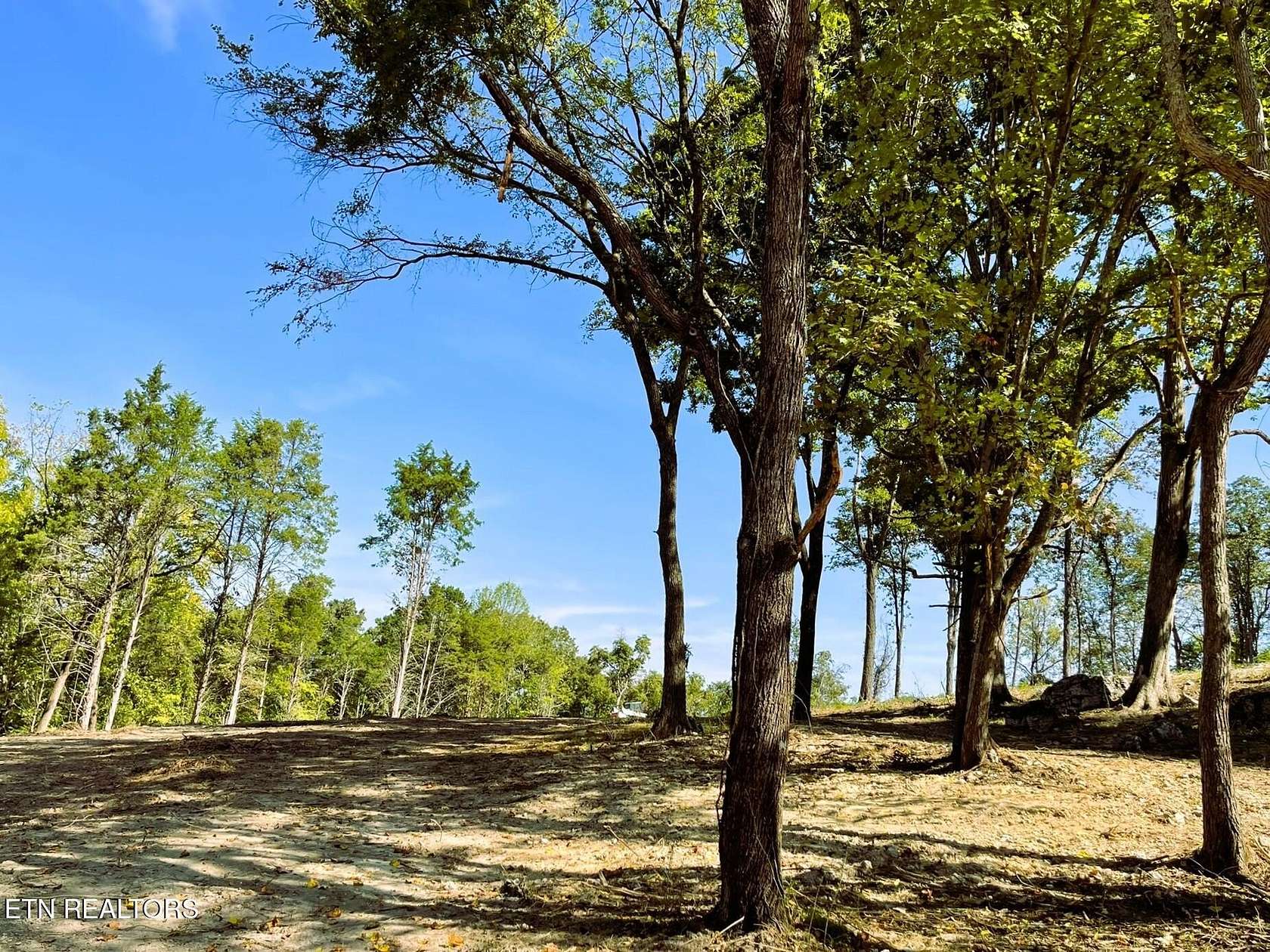 1 Acre of Residential Land for Sale in Knoxville, Tennessee