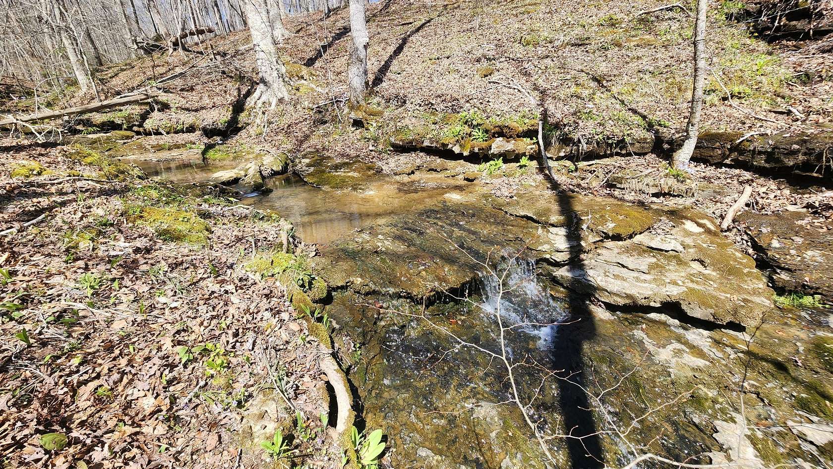 55 Acres of Land for Sale in Smithville, Tennessee