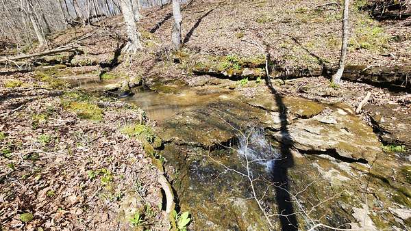 55 Acres of Land for Sale in Smithville, Tennessee