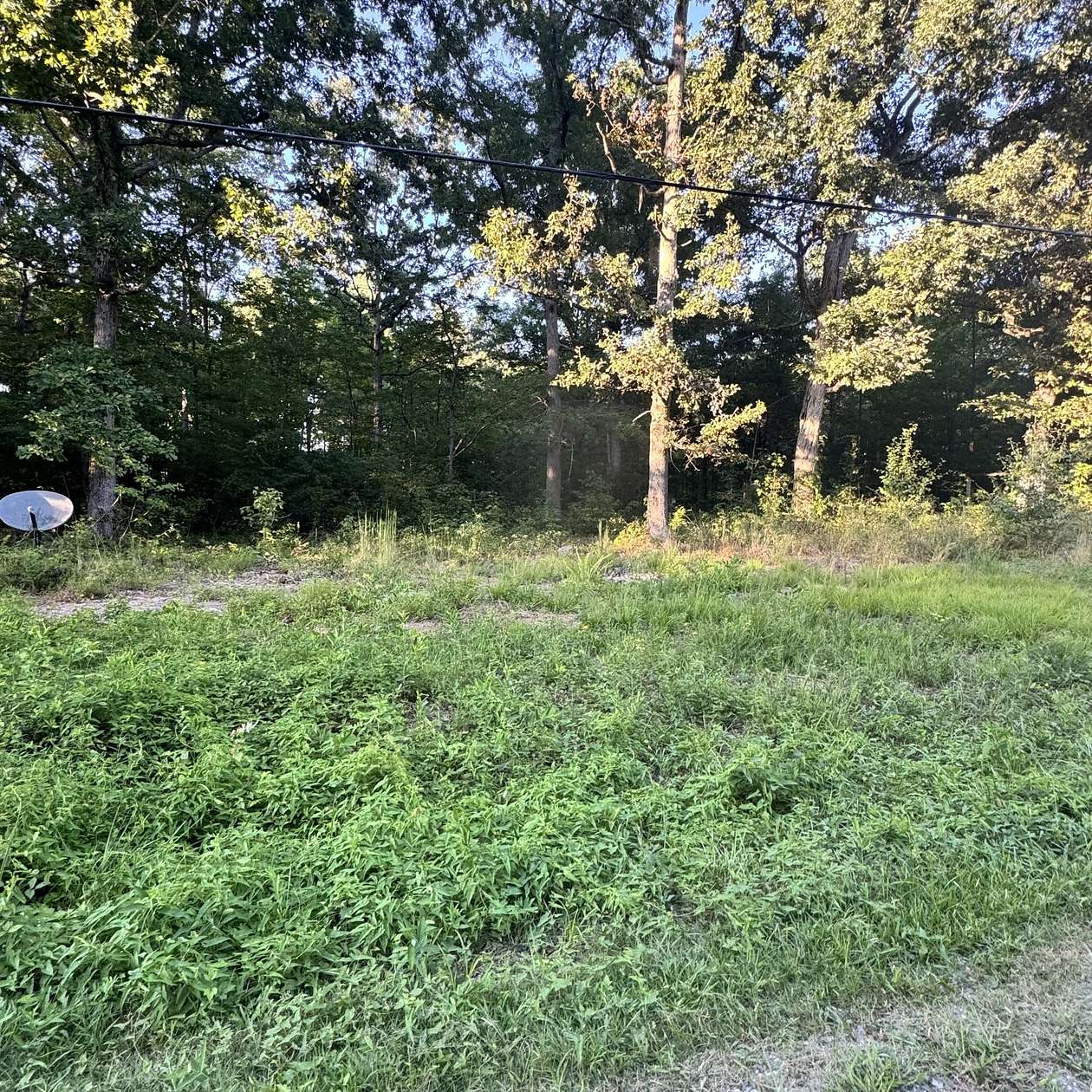 Land for Sale in Beechgrove, Tennessee
