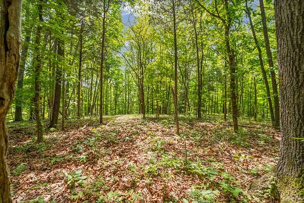 6.7 Acres of Residential Land for Sale in Palmyra, Tennessee
