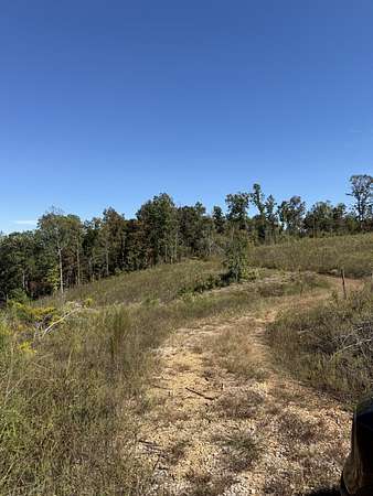 77 Acres of Land for Sale in Iron City, Tennessee