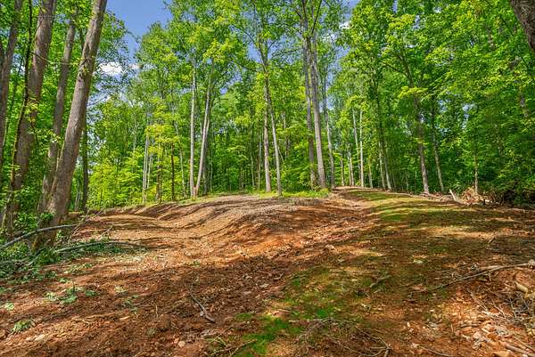 5.88 Acres of Residential Land for Sale in Palmyra, Tennessee