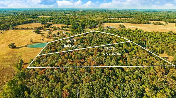 6.65 Acres of Residential Land for Sale in Powderly, Texas