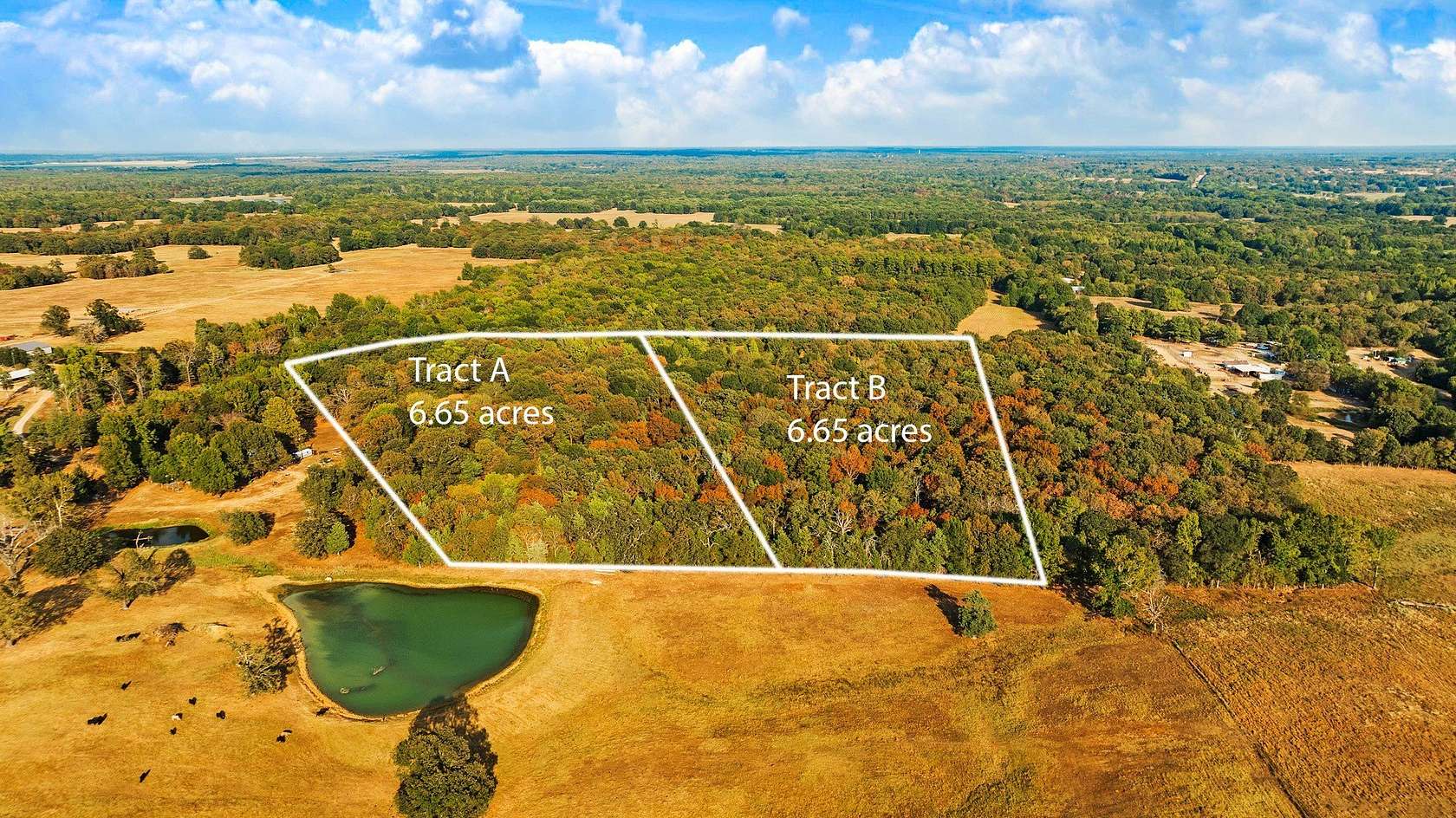 6.65 Acres of Residential Land for Sale in Powderly, Texas
