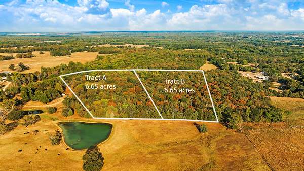 6.65 Acres of Residential Land for Sale in Powderly, Texas
