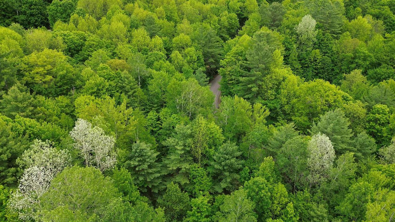 2.5 Acres of Land with Home for Sale in Underhill, Vermont