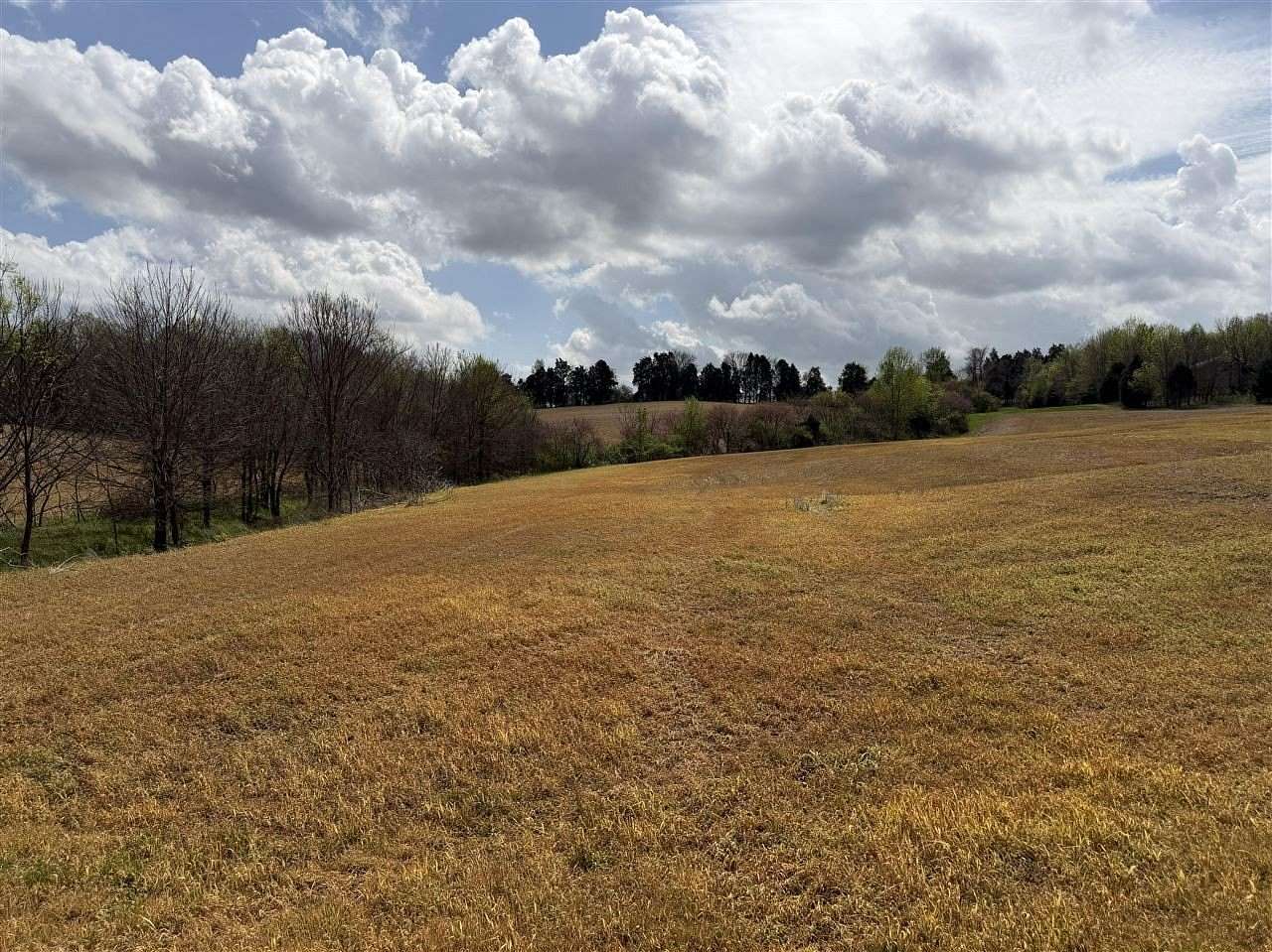 35.5 Acres of Land for Sale in Bowling Green, Kentucky