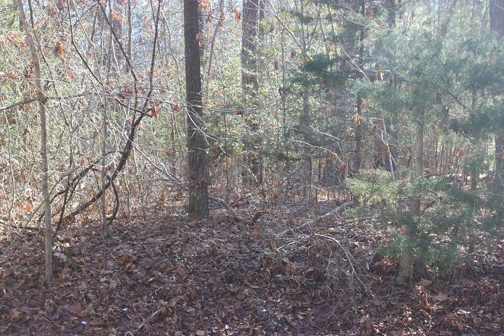 0.22 Acres of Residential Land for Sale in Greenbackville, Virginia