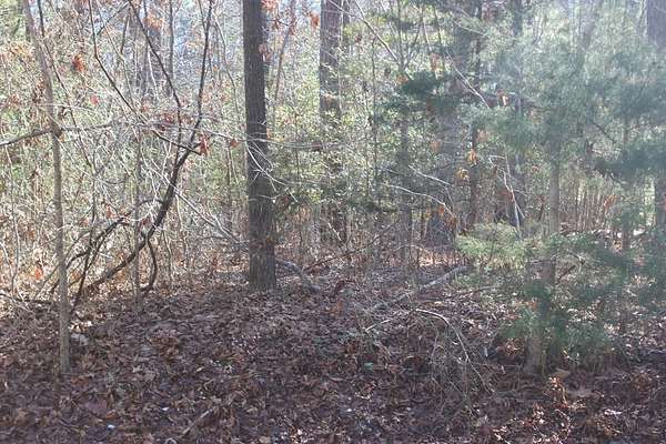 0.22 Acres of Residential Land for Sale in Greenbackville, Virginia