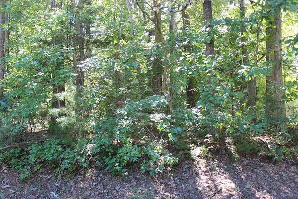0.22 Acres of Residential Land for Sale in Greenbackville, Virginia