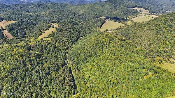 59 Acres of Recreational & Residential Land for Sale in Duffield, Virginia