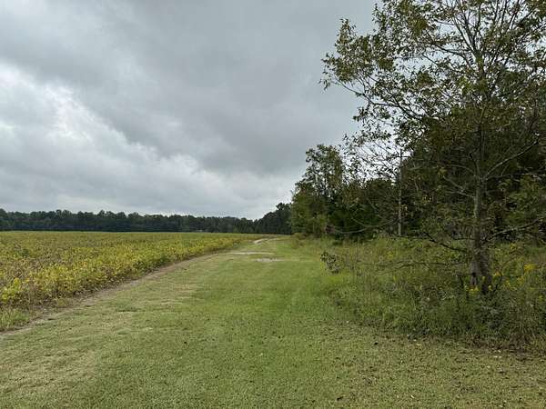 5.8 Acres of Residential Land for Sale in Manning, South Carolina