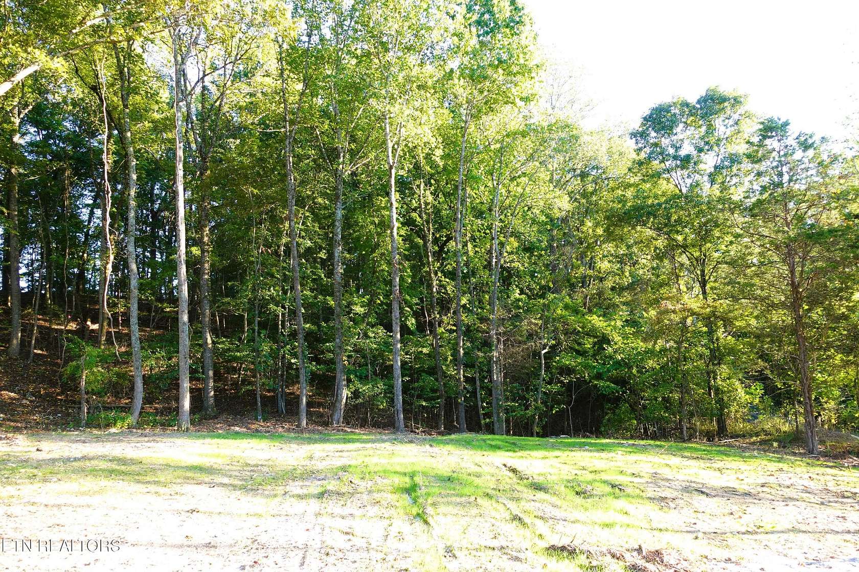 1.12 Acres of Residential Land for Sale in Knoxville, Tennessee