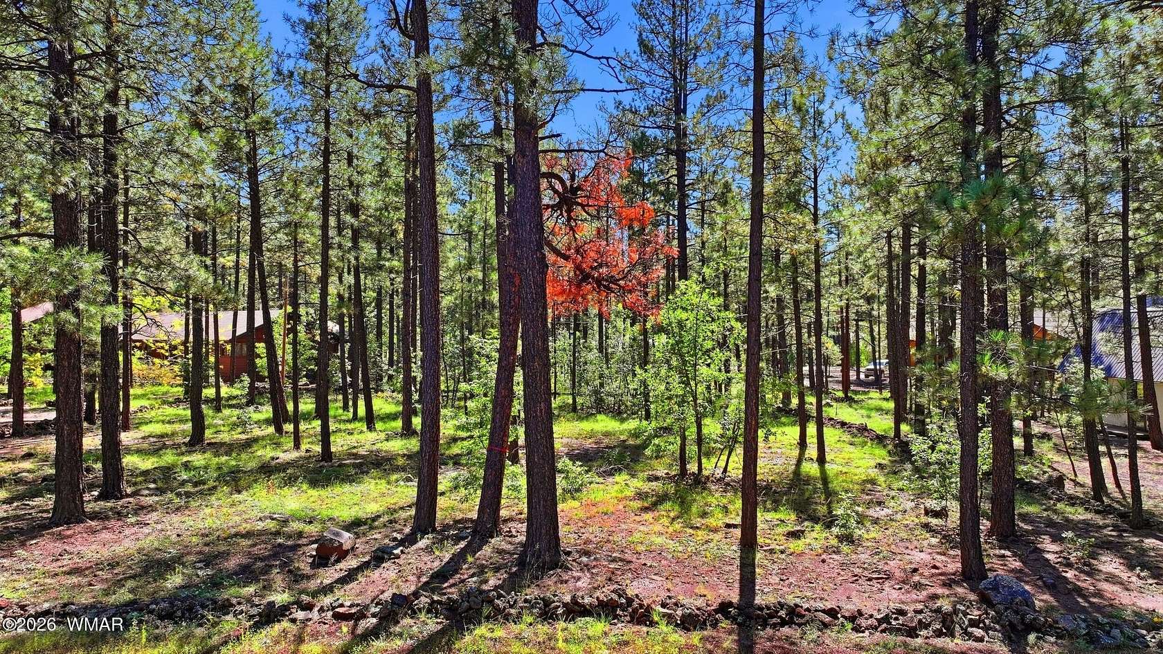 0.31 Acres of Residential Land for Sale in Pinetop, Arizona