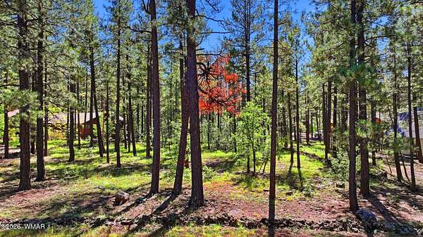 0.31 Acres of Residential Land for Sale in Pinetop, Arizona
