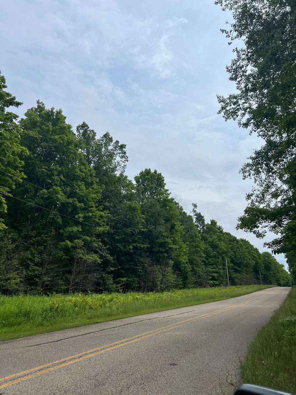 80 Acres of Land for Sale in Mastodon Township, Michigan