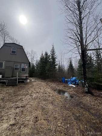 40 Acres of Recreational Land for Sale in Iron River, Michigan