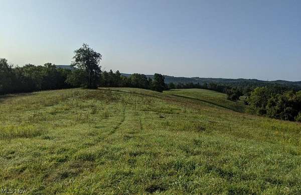 109 Acres of Recreational Land for Sale in Beallsville, Ohio