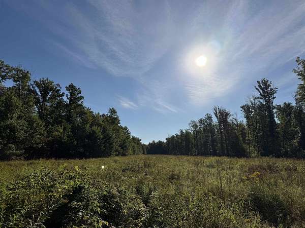 120 Acres of Recreational Land for Sale in Prentice, Wisconsin