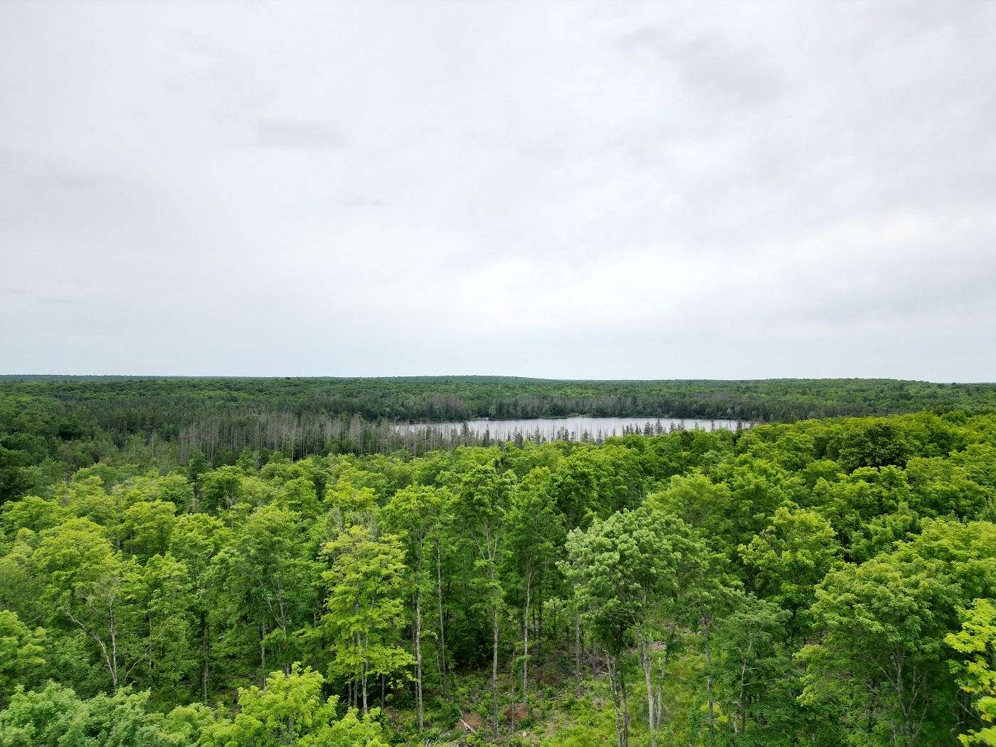 40 Acres of Recreational & Residential Land for Sale in Iron River Township, Michigan