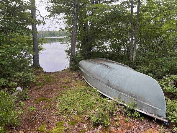 40 Acres of Recreational Land for Sale in Iron River, Michigan