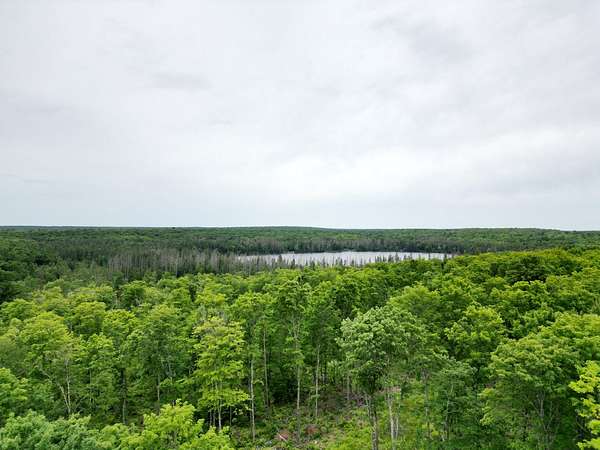 40 Acres of Recreational & Residential Land for Sale in Iron River Township, Michigan