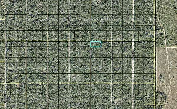 1.25 Acres of Residential Land for Sale in Hastings, Florida