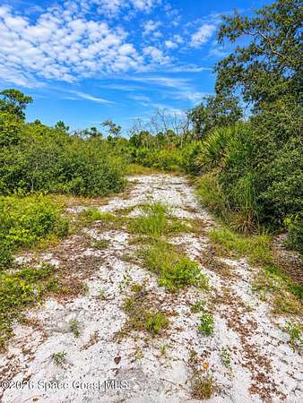 2.66 Acres of Residential Land for Sale in Mims, Florida