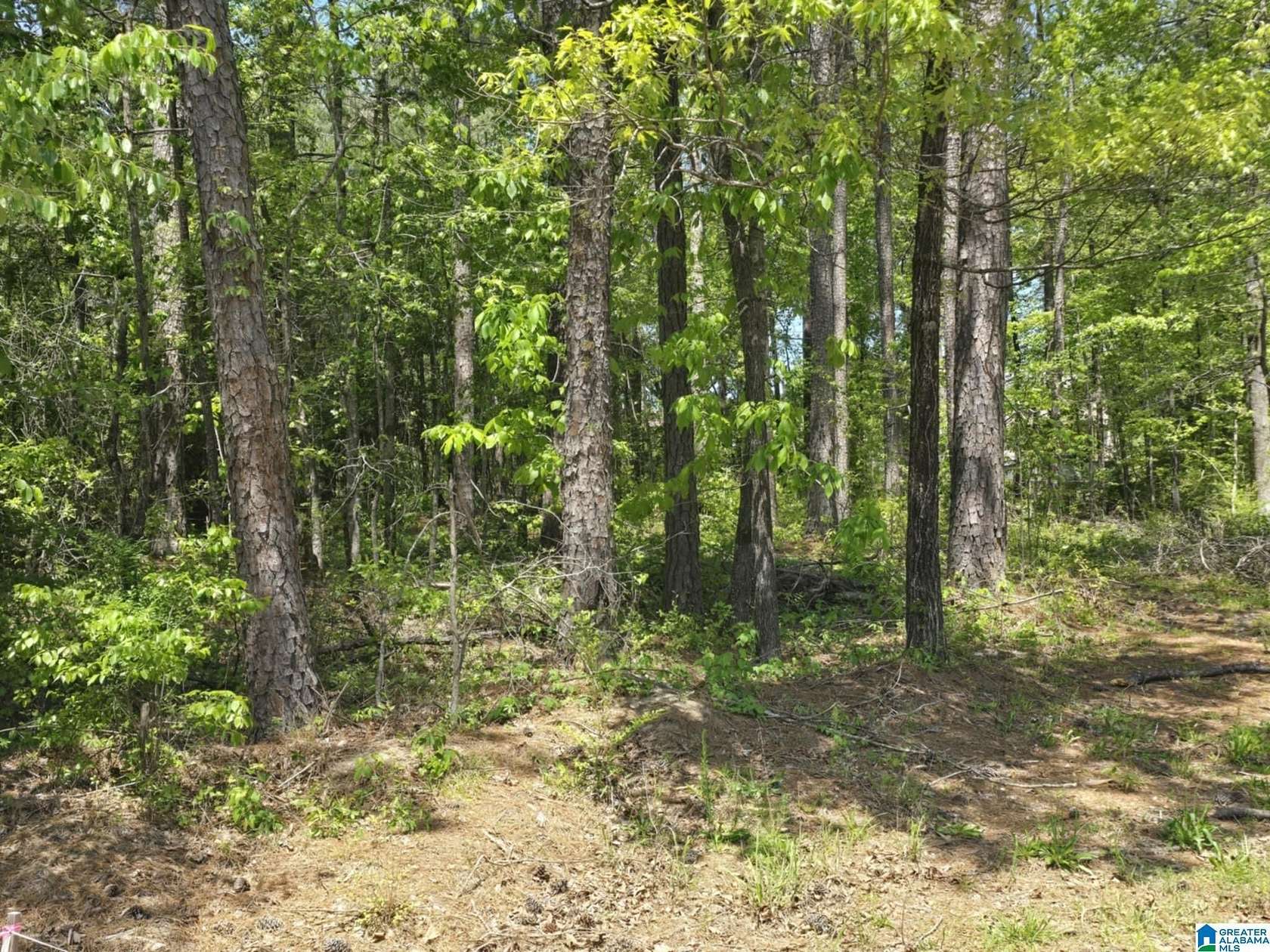 0.88 Acres of Residential Land for Sale in Hanceville, Alabama