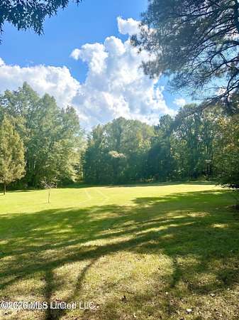 44 Acres of Land for Sale in Holcomb, Mississippi