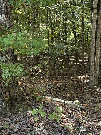 0.57 Acres of Residential Land for Sale in Winchester, Tennessee