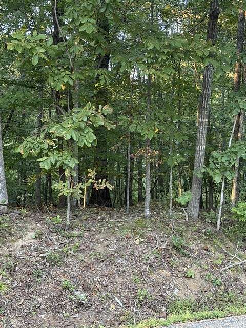 0.82 Acres of Residential Land for Sale in Estill Springs, Tennessee