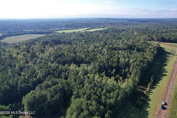 16.8 Acres of Recreational Land for Sale in Louisville, Mississippi