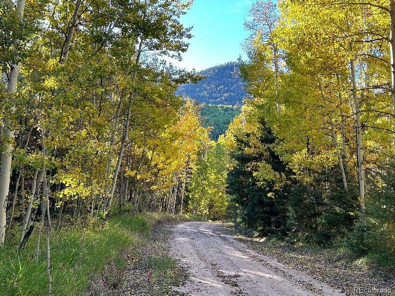 5 Acres of Residential Land for Sale in Fort Garland, Colorado