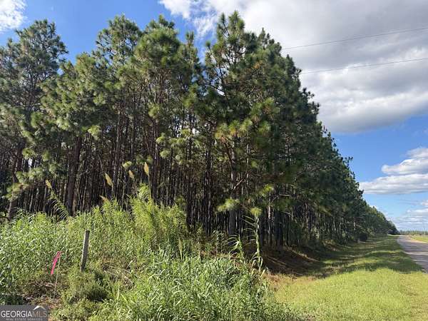 8.15 Acres of Land for Sale in Blakely, Georgia