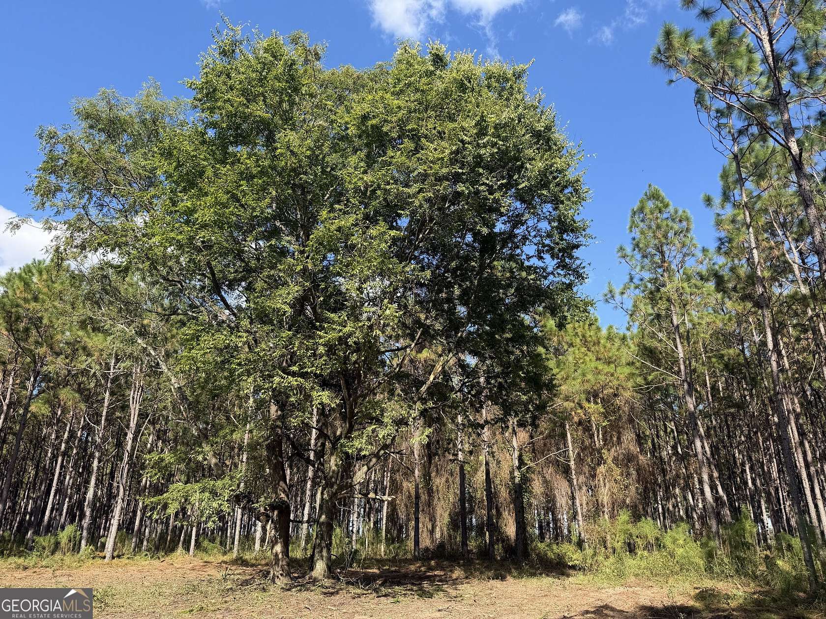4.4 Acres of Land for Sale in Blakely, Georgia
