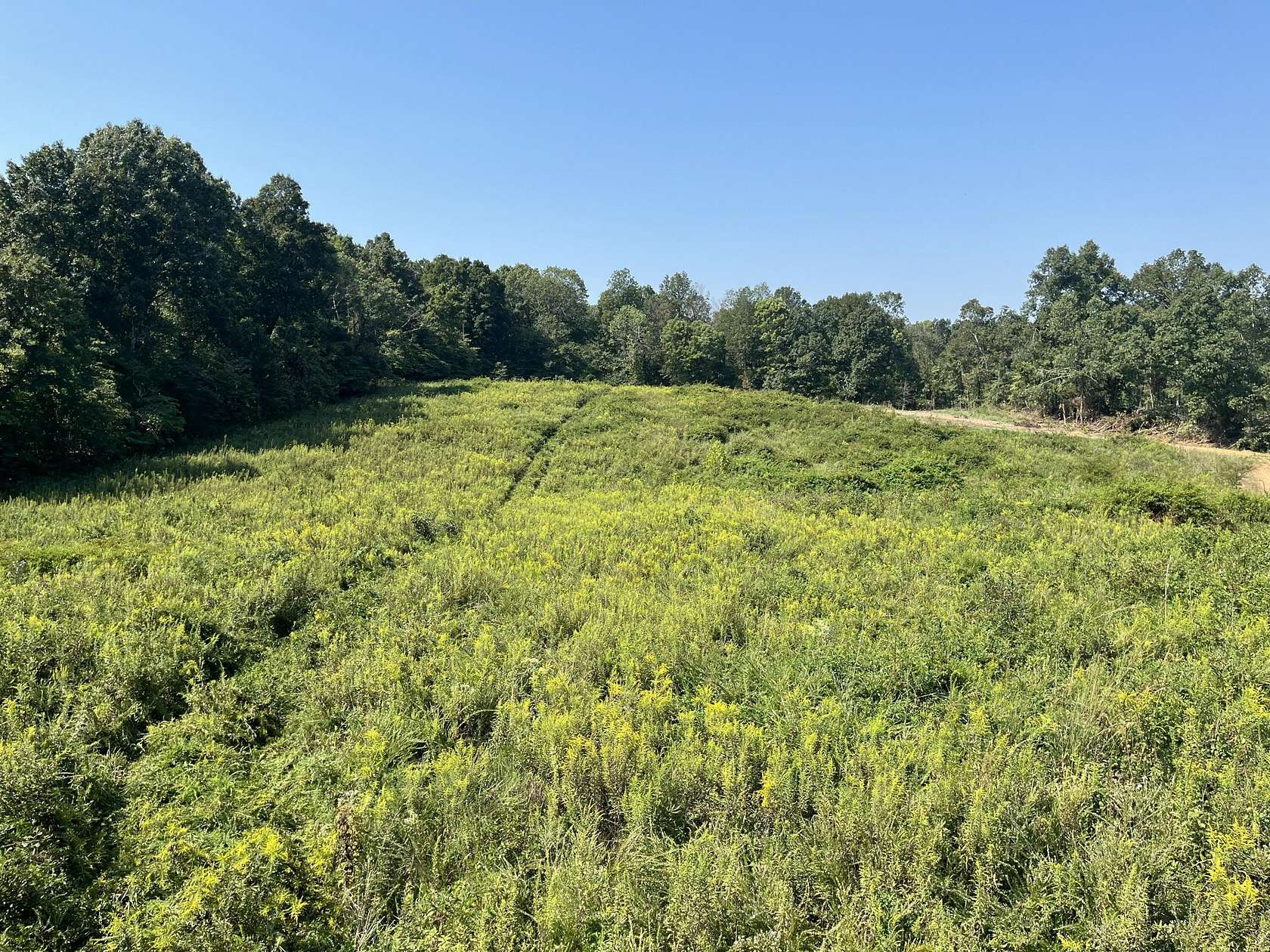 72.2 Acres of Recreational & Residential Land for Sale in Princeton, Kentucky