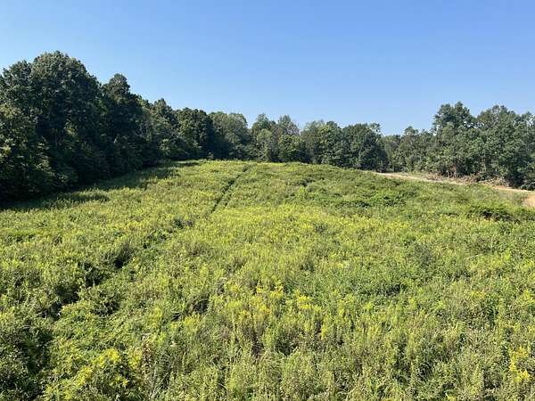 72.2 Acres of Recreational & Residential Land for Sale in Princeton, Kentucky