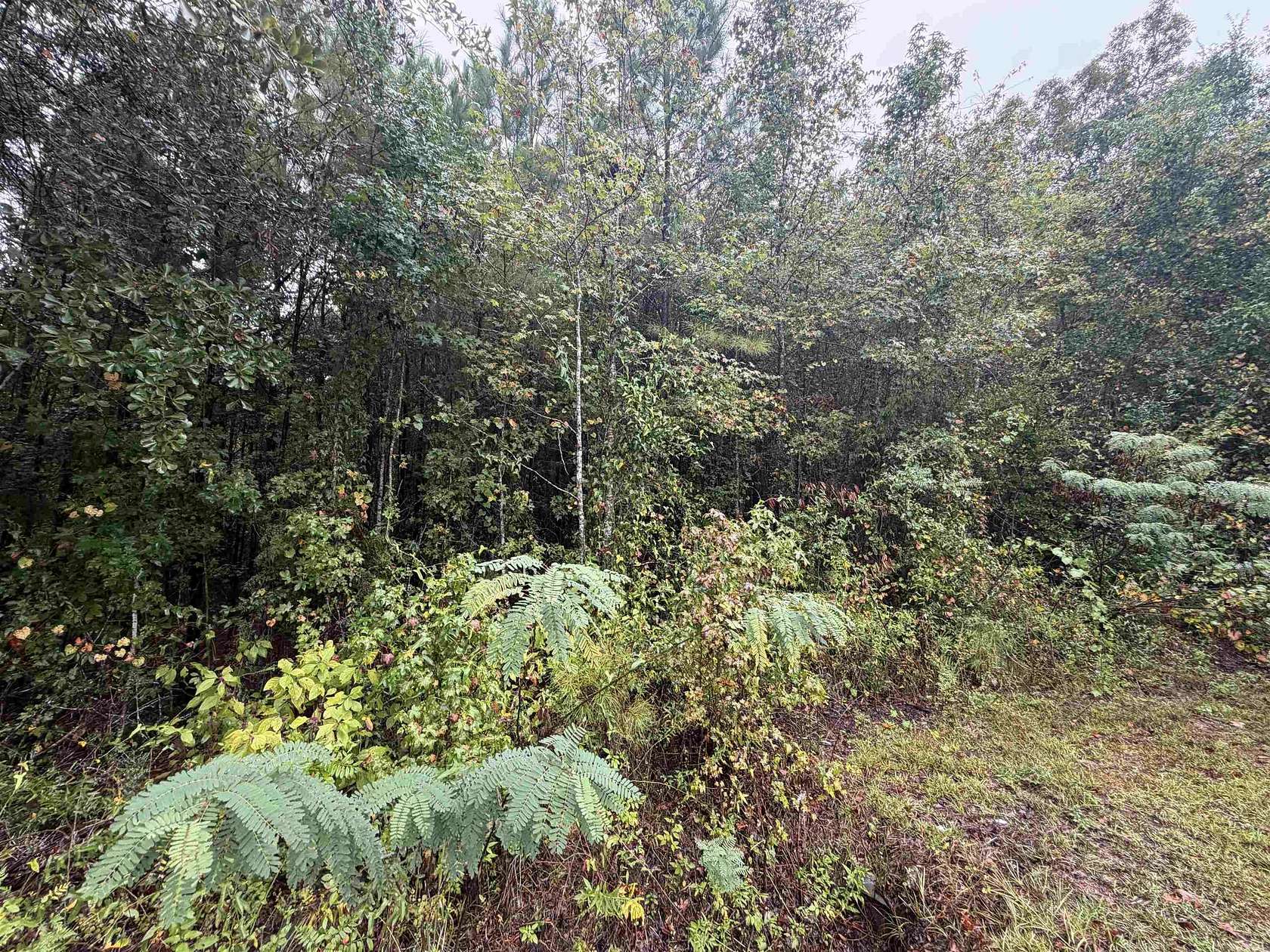 1.25 Acres of Residential Land for Sale in Midway, Florida