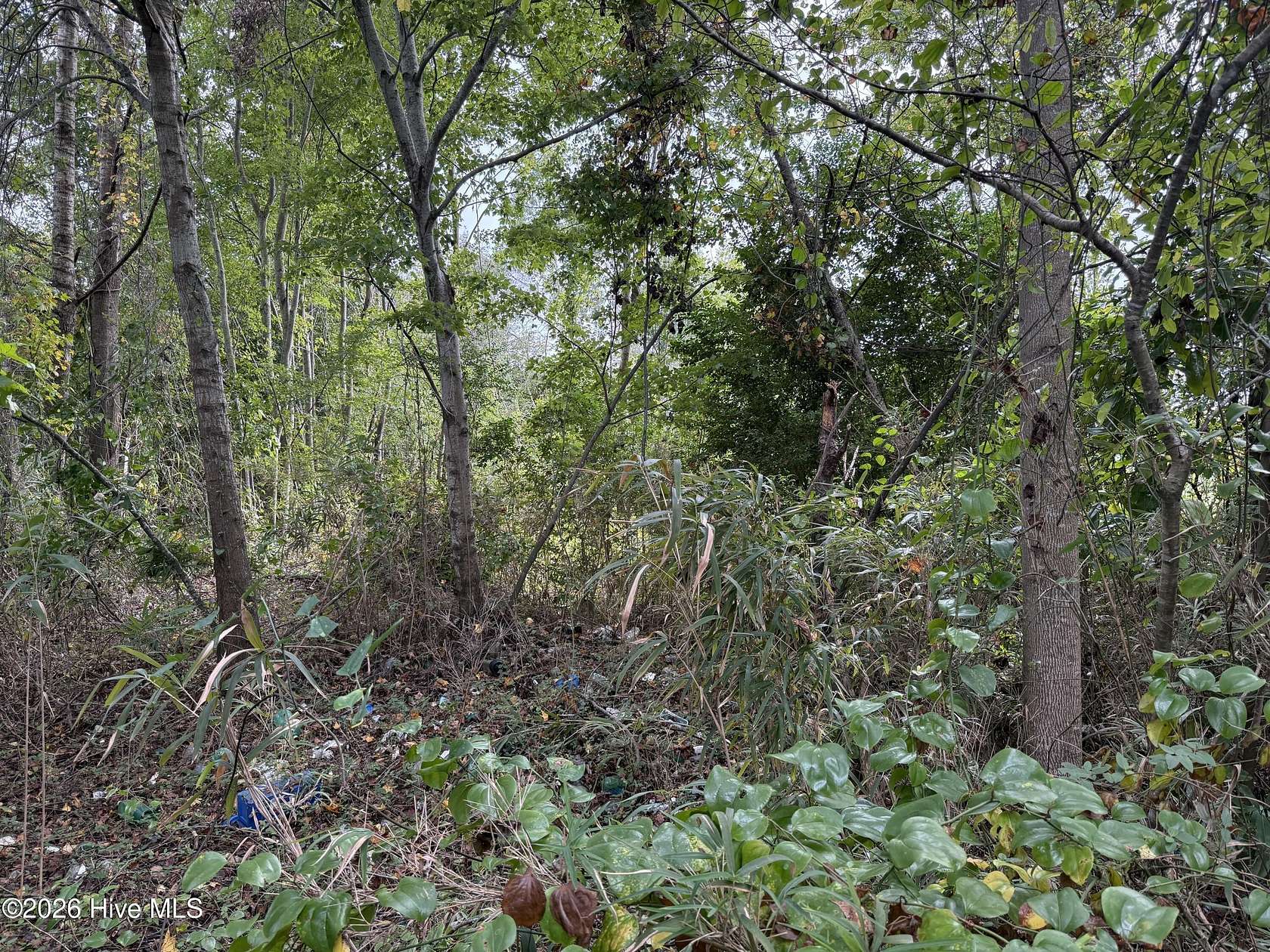 10.8 Acres of Land for Sale in Hertford, North Carolina